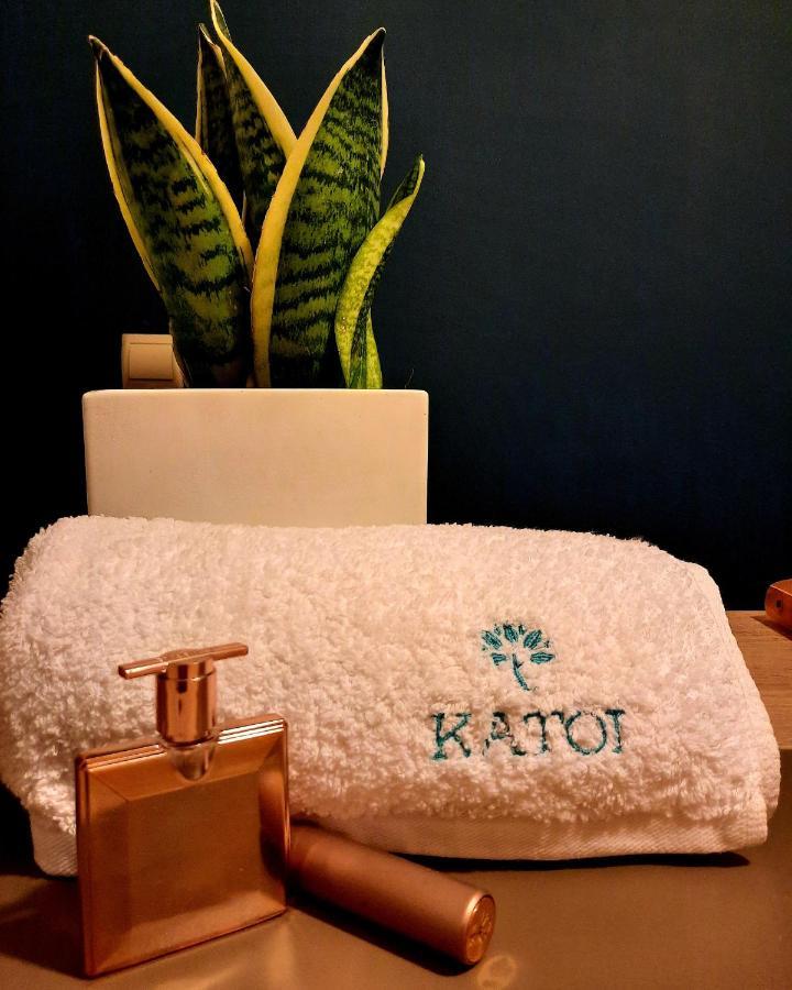 Katoi Traditional House Exo Khora 외부 사진